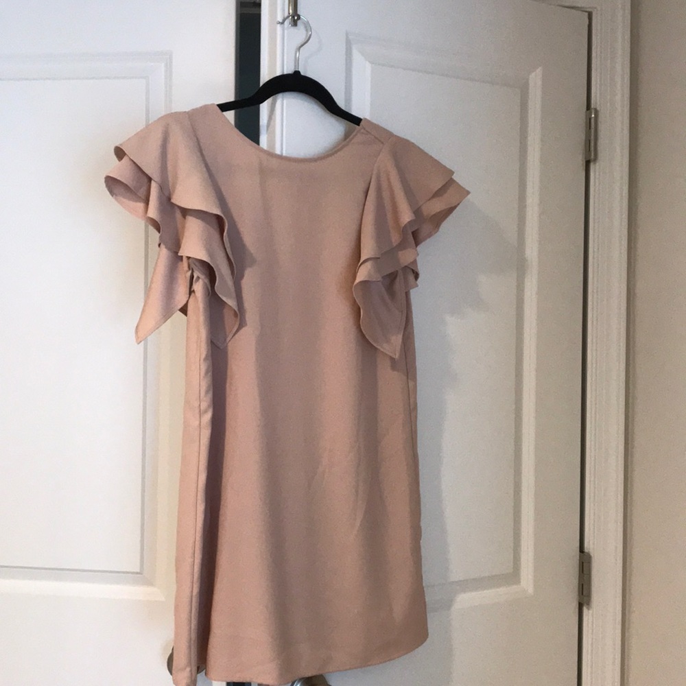 Zara nude color dress